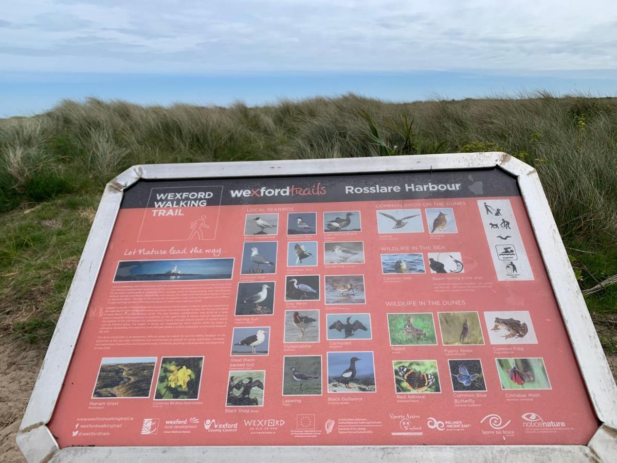 St Martin'S, Rosslare Harbour Guest Accommodation المظهر الخارجي الصورة